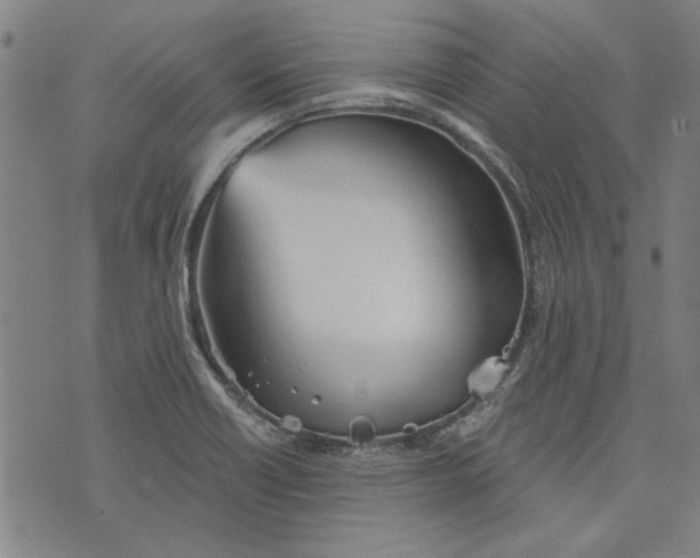 X0000073991418200609111521