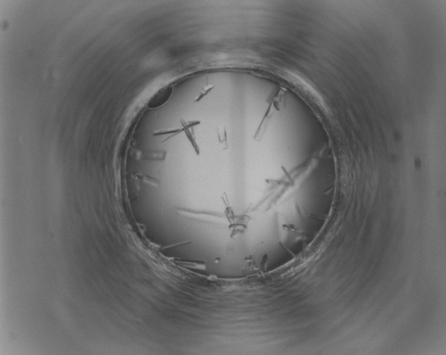 X0000073991419200609111521