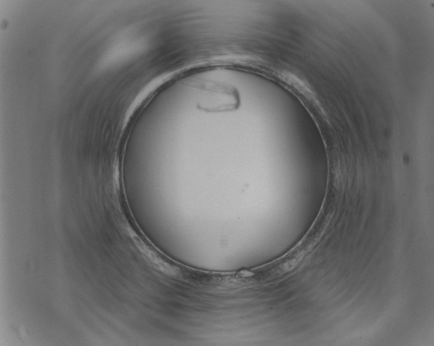 X0000073991420200609111522