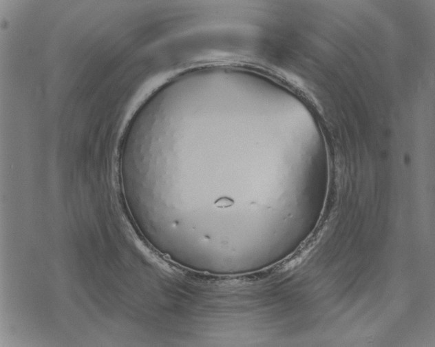 X0000073991421200609111522