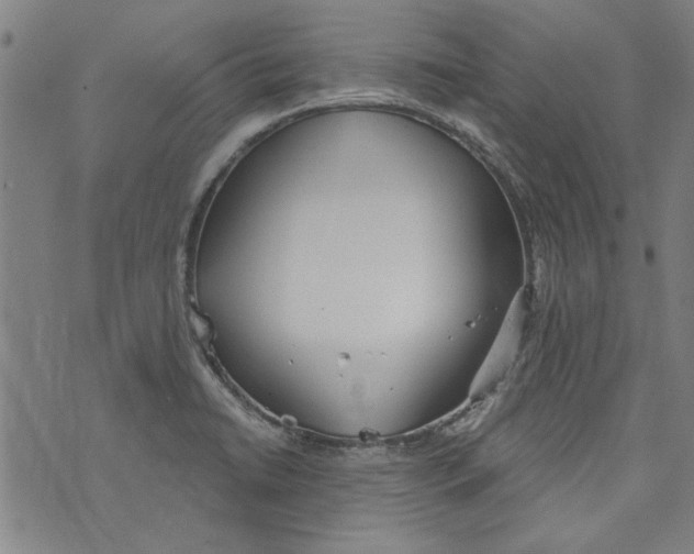 X0000073991422200609111522