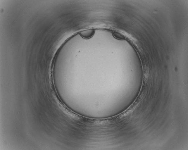 X0000073991423200609111522