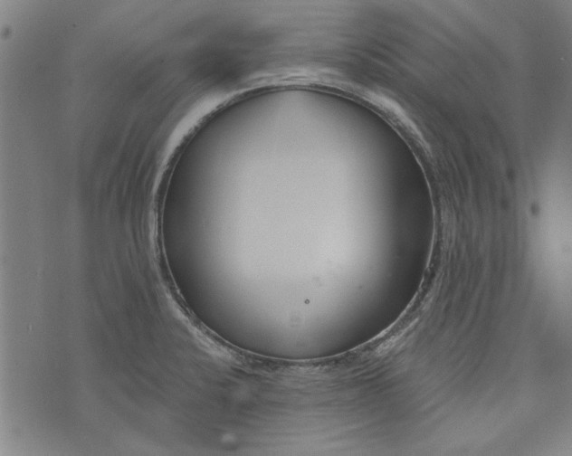 X0000073991424200609111522