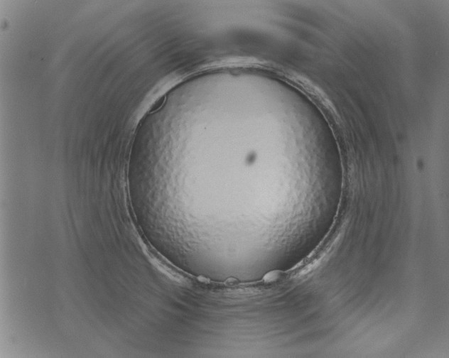 X0000073991425200609111522