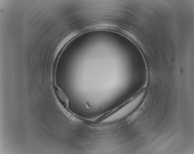 X0000073991426200609111522