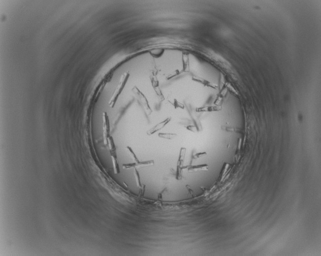 X0000073991427200609111522