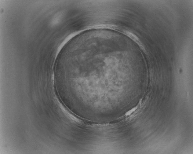 X0000073991428200609111522