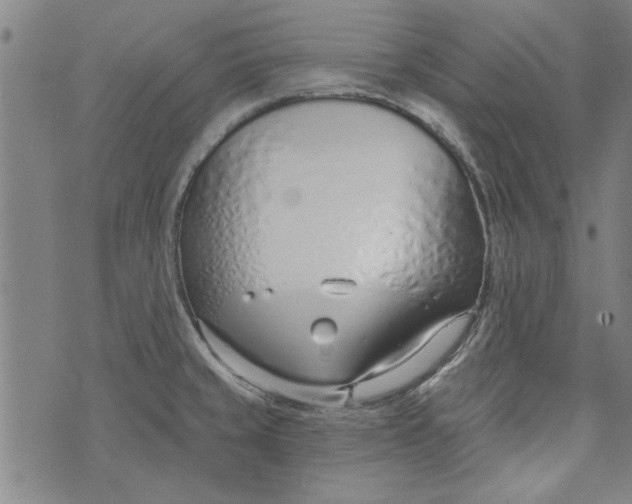 X0000073991429200609111522