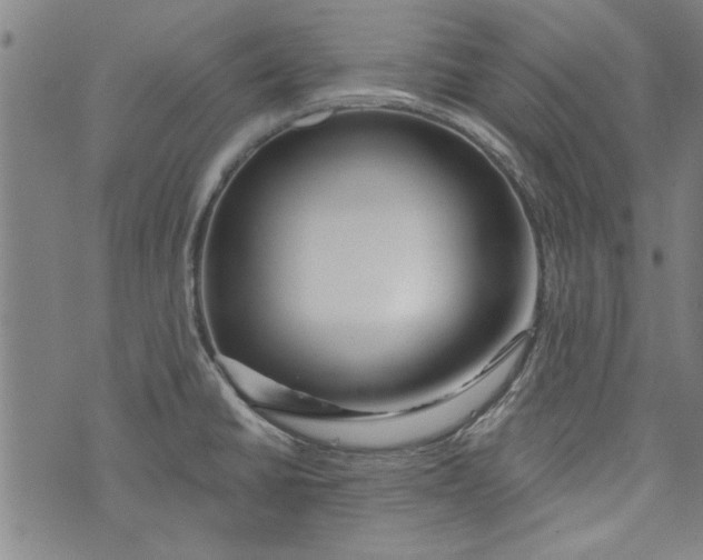 X0000073991430200609111522