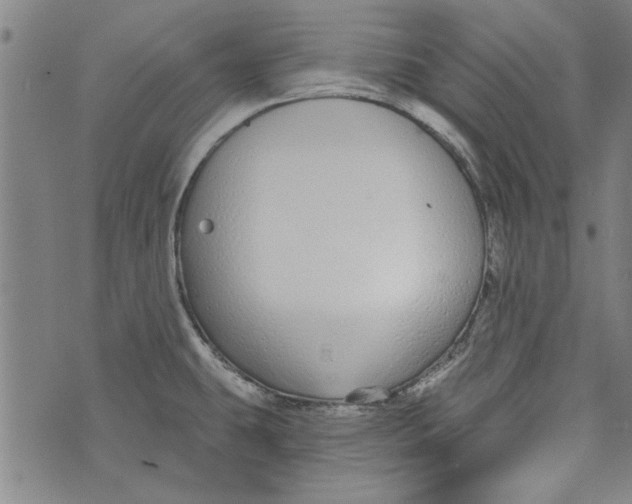 X0000073991431200609111522