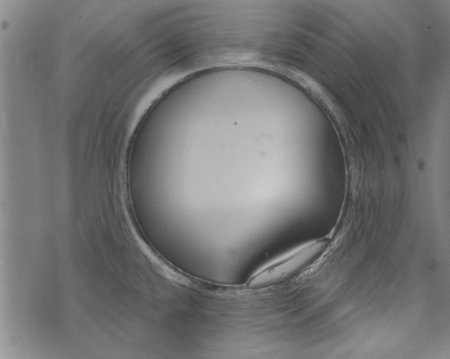 X0000073991432200609111522