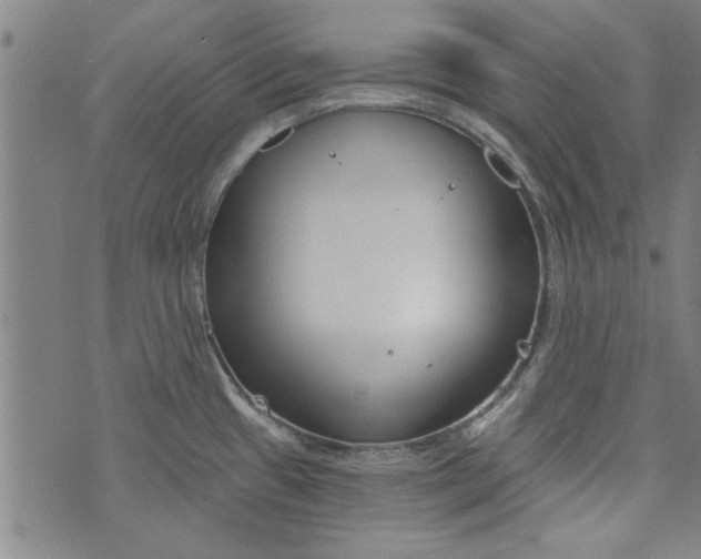 X0000073991433200609111522