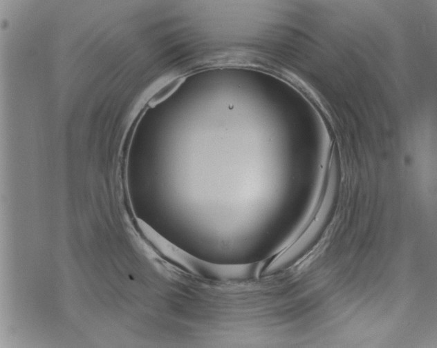 X0000073991434200609111522