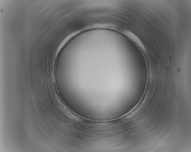 X0000073991436200609111522