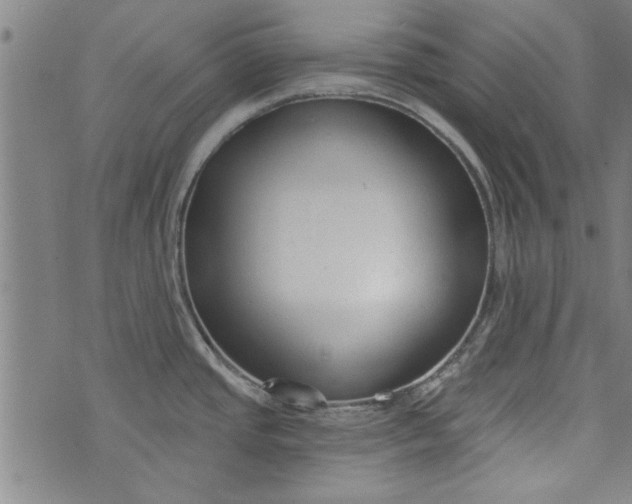 X0000073991437200609111522