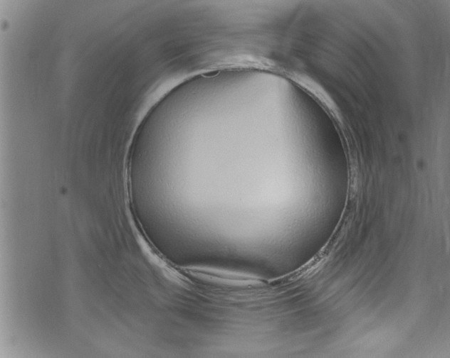 X0000073991439200609111522