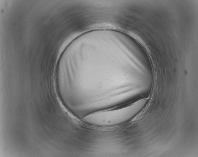 X0000073991440200609111522