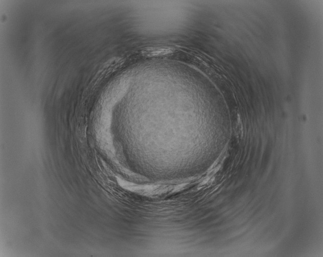 X0000073991441200609111521