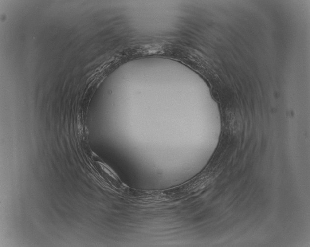 X0000073991442200609111521