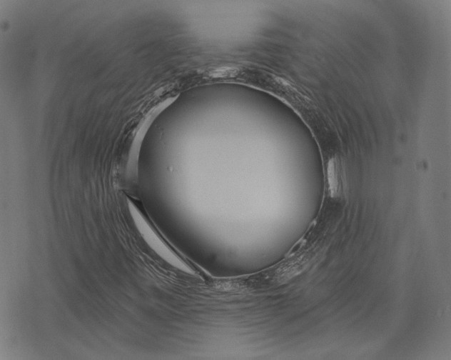 X0000073991443200609111521