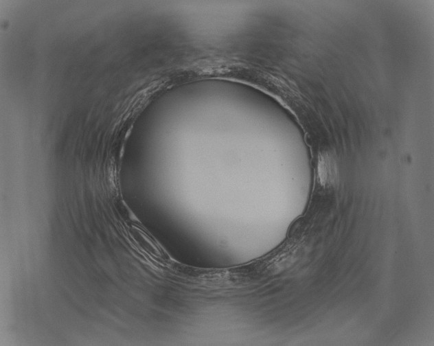 X0000073991444200609111521