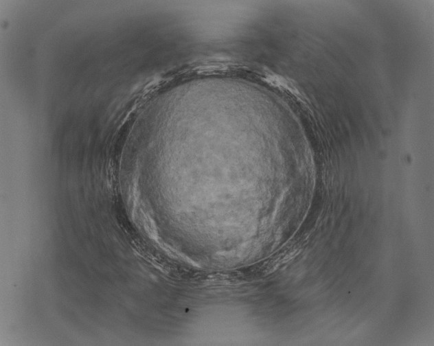 X0000073991445200609111521