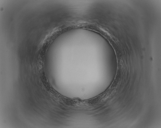 X0000073991447200609111521