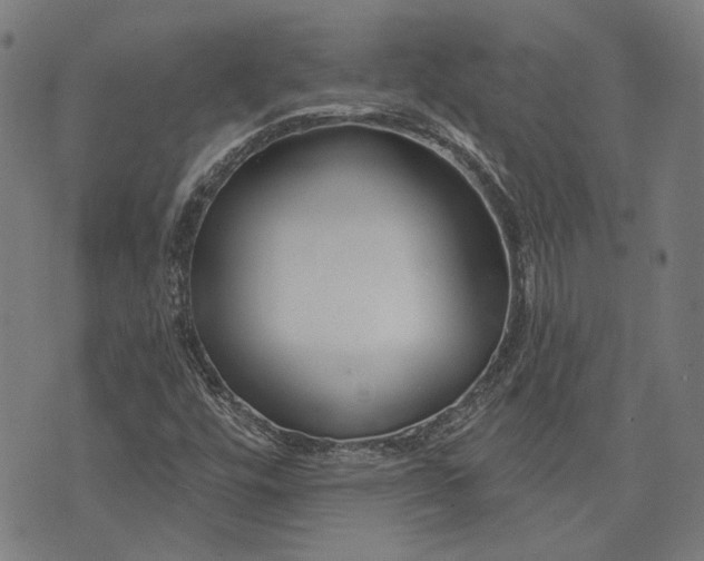 X0000073991448200609111521