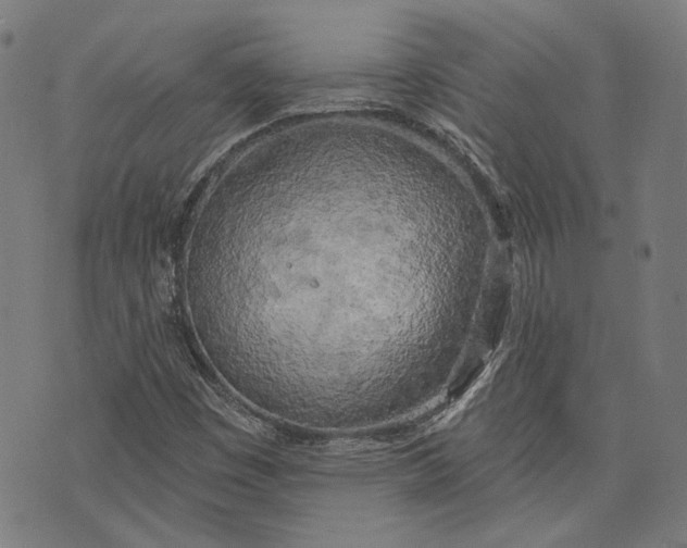 X0000073991449200609111521