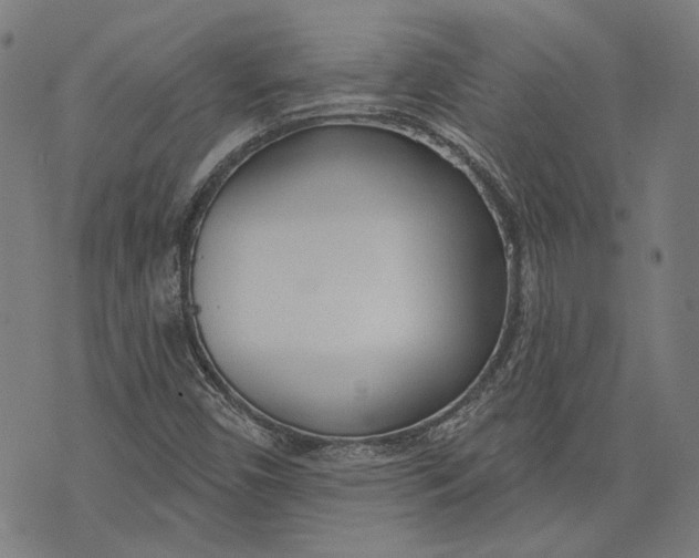 X0000073991450200609111521