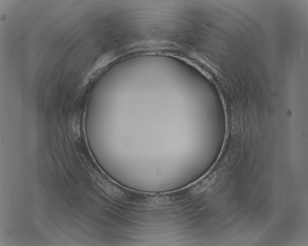 X0000073991451200609111521