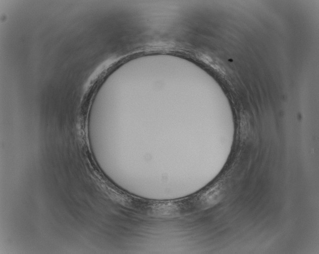 X0000073991454200609111521