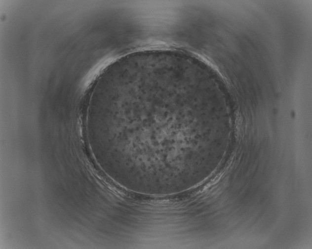 X0000073991455200609111521