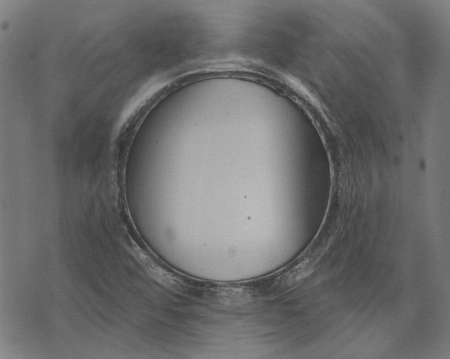 X0000073991456200609111521