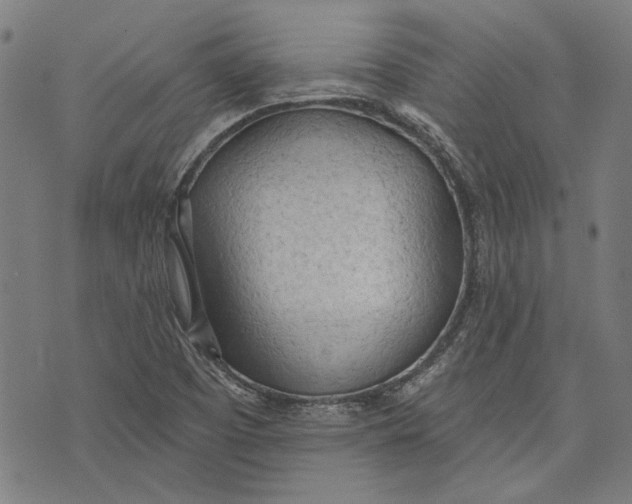 X0000073991457200609111521