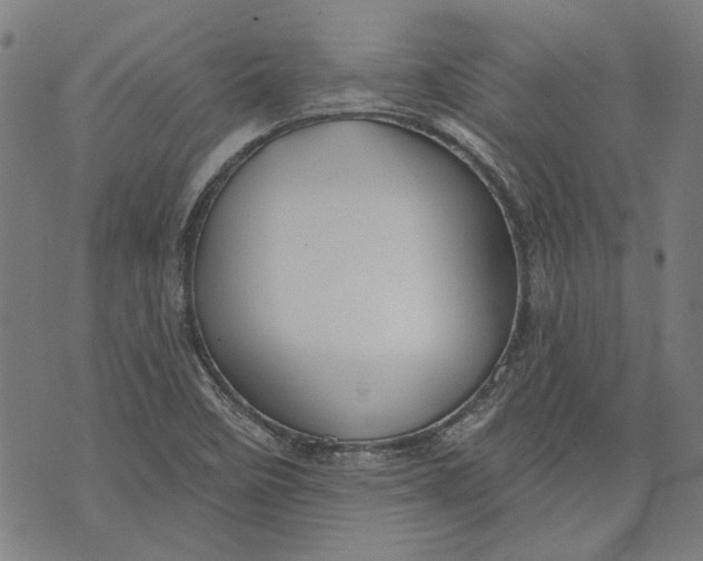 X0000073991458200609111521