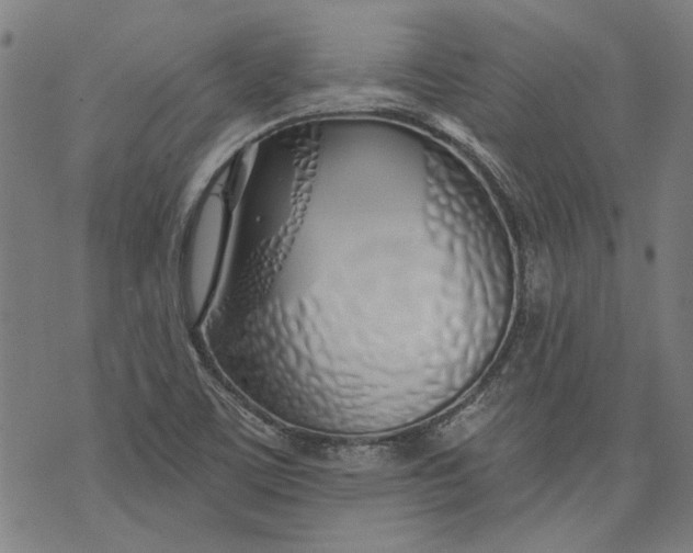 X0000073991459200609111521