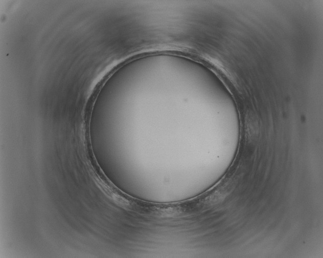 X0000073991460200609111521