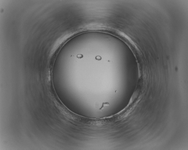 X0000073991461200609111521