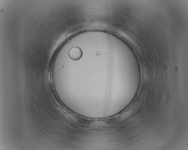 X0000073991462200609111521