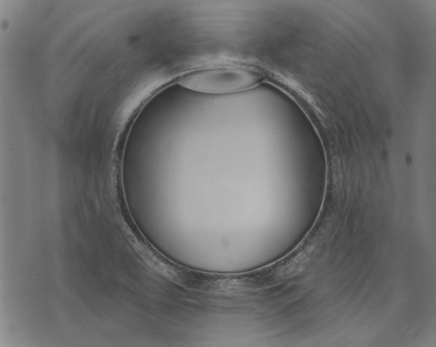 X0000073991463200609111521