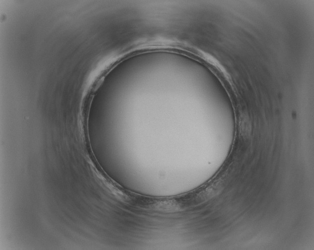 X0000073991464200609111521