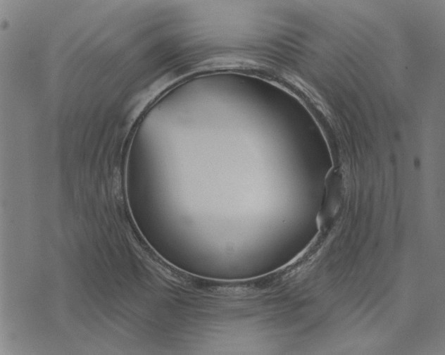 X0000073991465200609111521