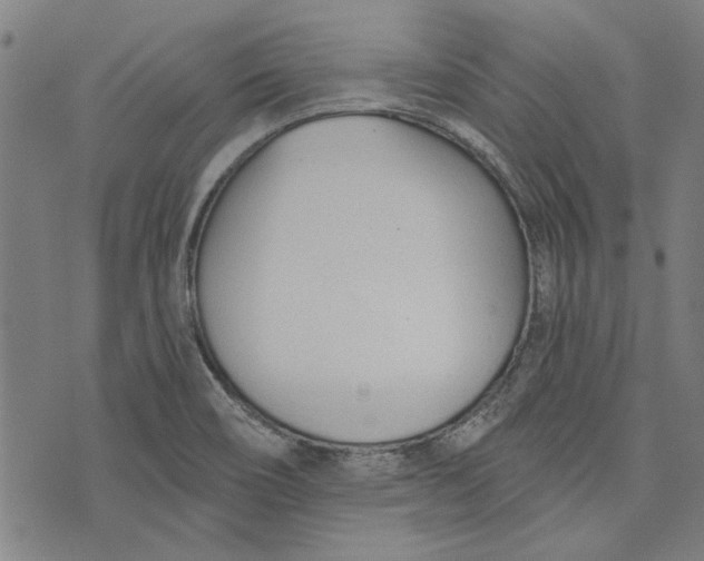 X0000073991466200609111521