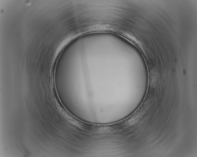 X0000073991467200609111521