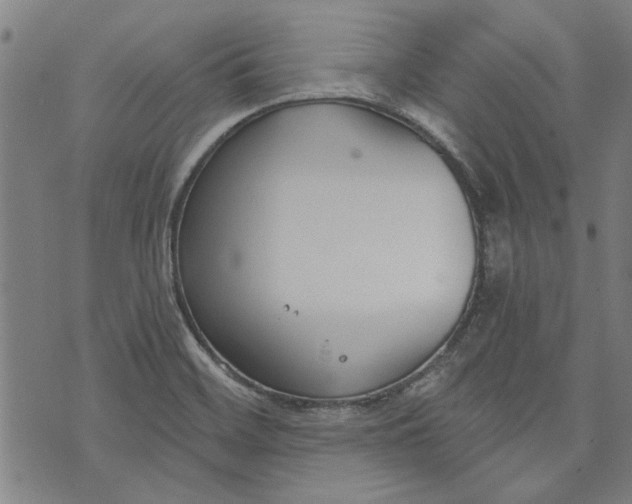 X0000073991468200609111521