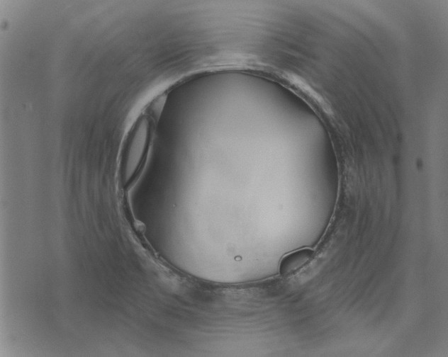 X0000073991469200609111521