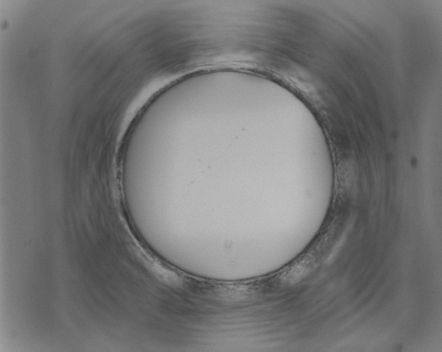 X0000073991470200609111521