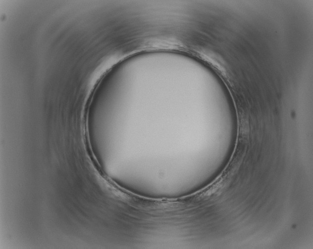 X0000073991471200609111521