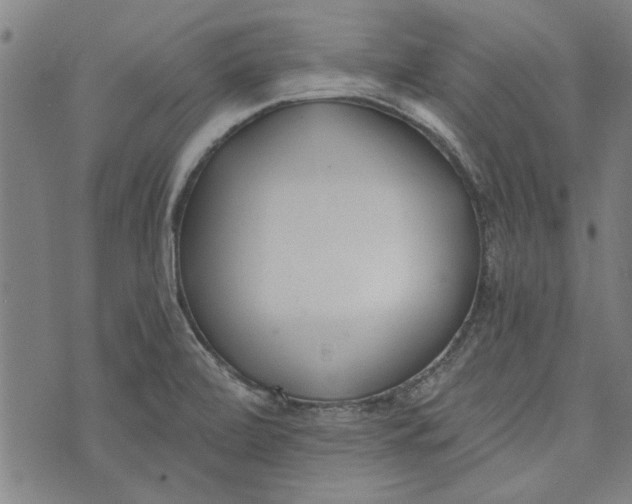 X0000073991472200609111521